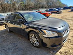 Maxima 2009
