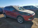 Ford Escape 2014