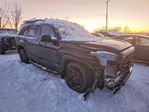 Toyota Sequoia 2026