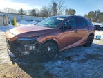 Lexus RX 2025