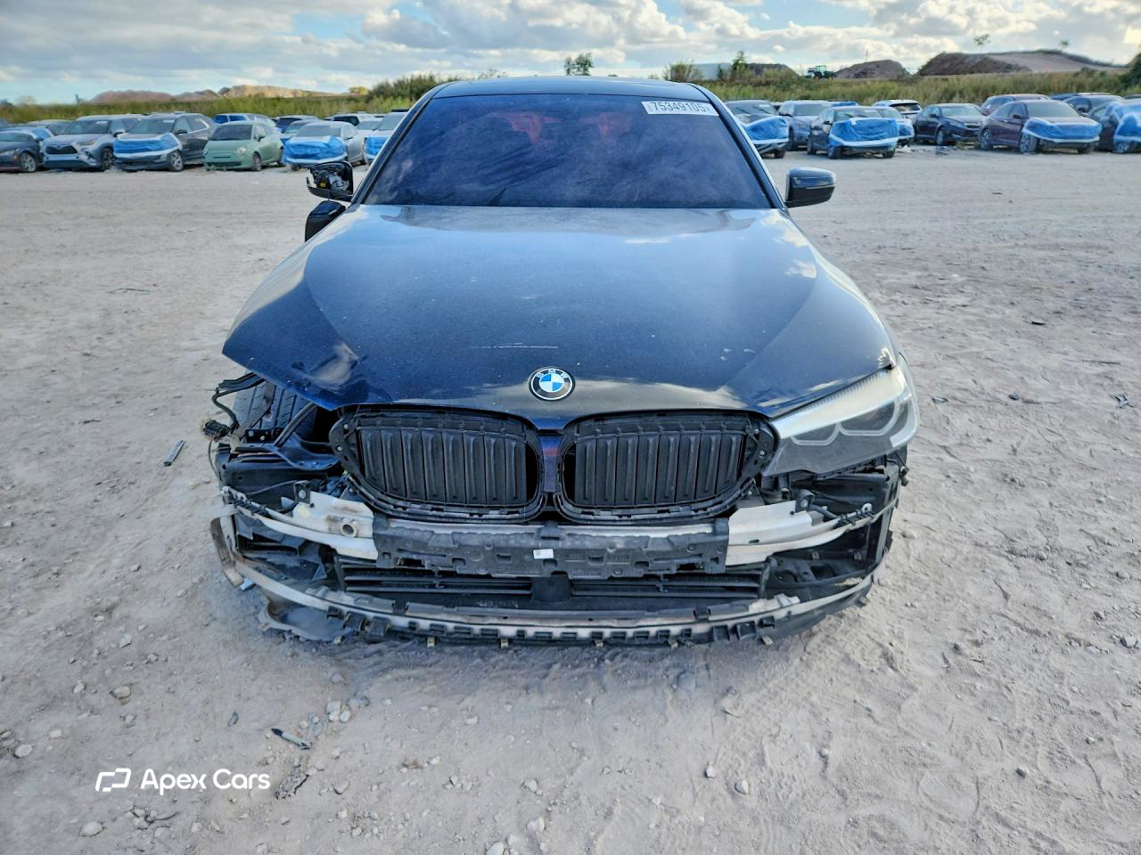BMW Series 5 2017