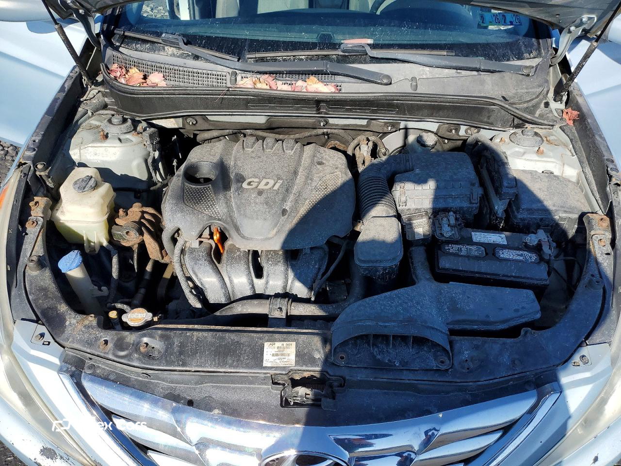 Hyundai Sonata 2013
