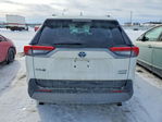 Toyota RAV 4 2021
