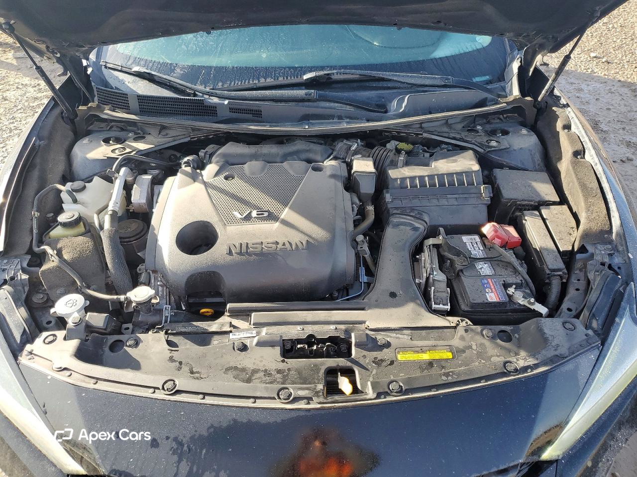 Nissan Maxima 2019