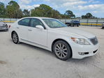 Lexus LS 2011