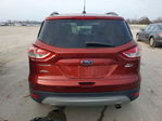 Ford Escape 2016