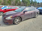 Nissan Maxima 2014
