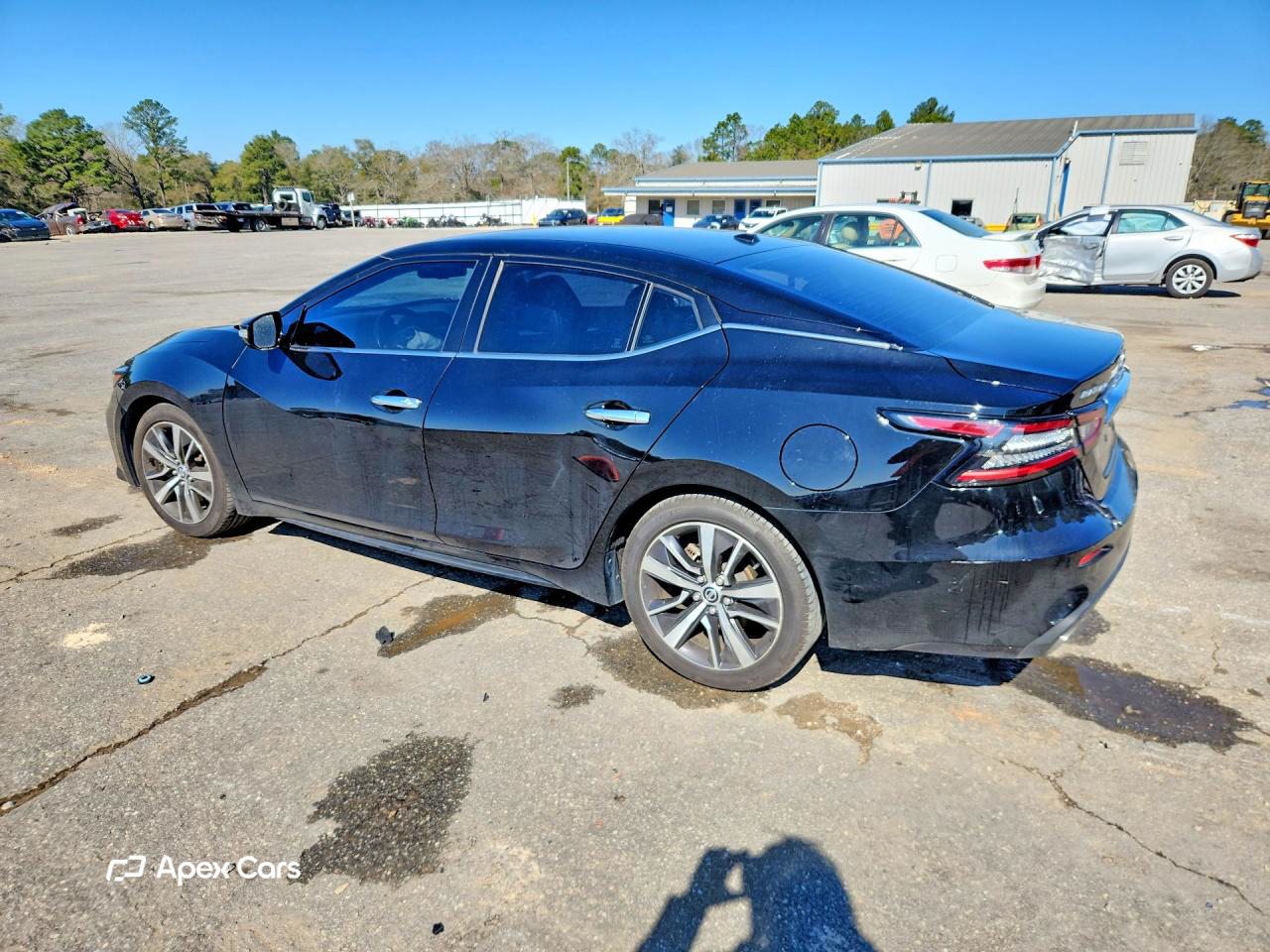 Nissan Maxima 2019