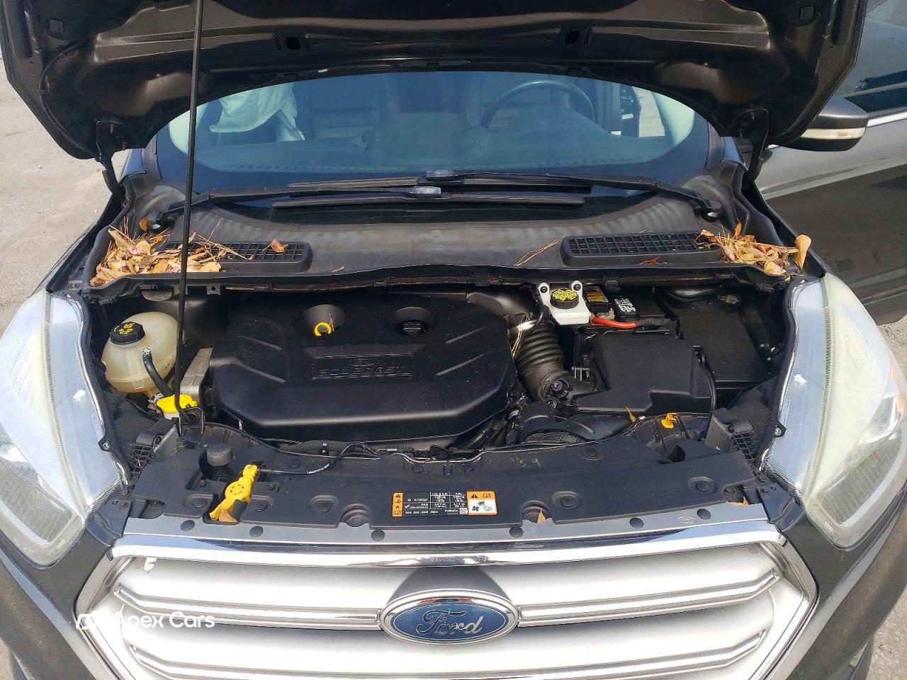 Ford Escape 2017