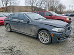 BMW Series 5 2013