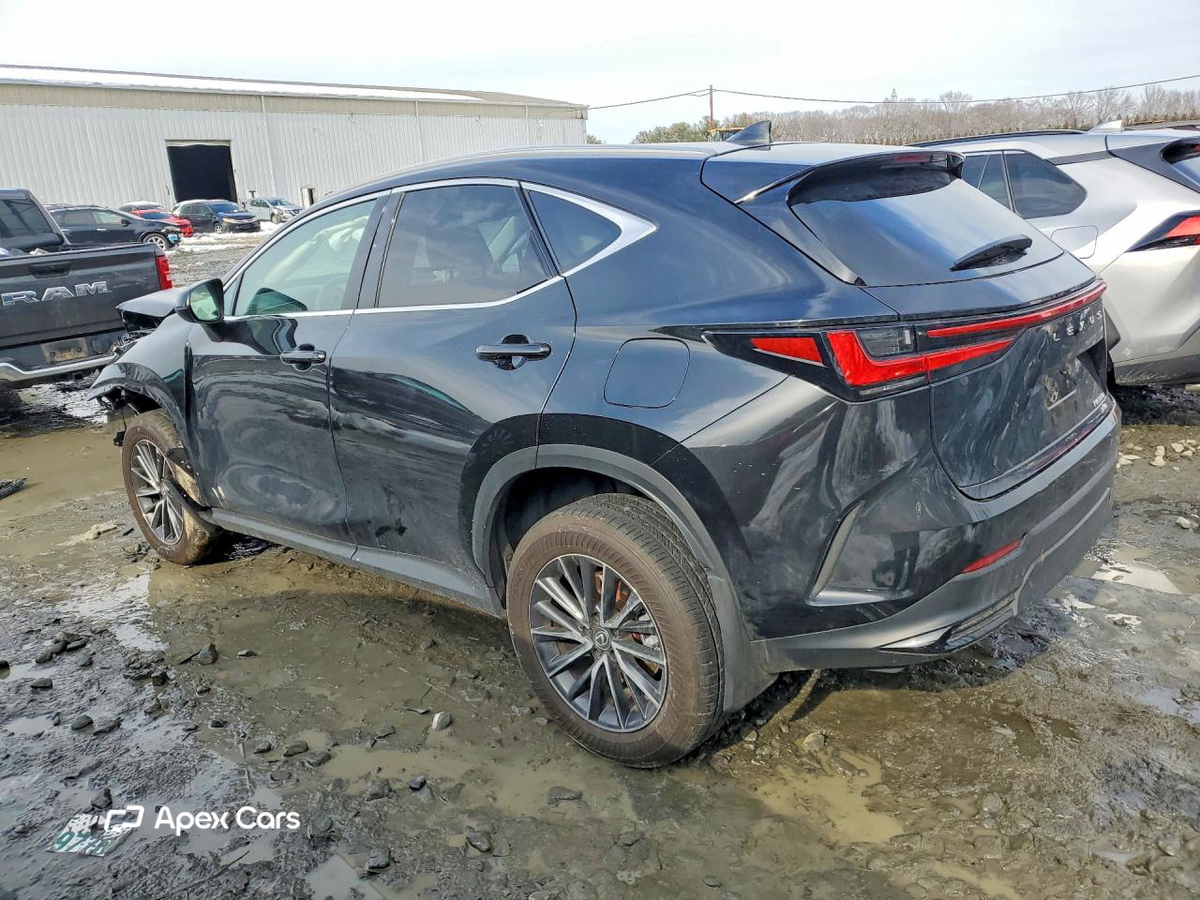 Lexus NX 2024