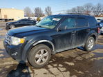 Ford Escape 2012