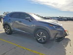Lexus NX 2021