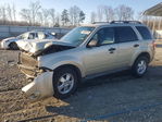 Ford Escape 2011