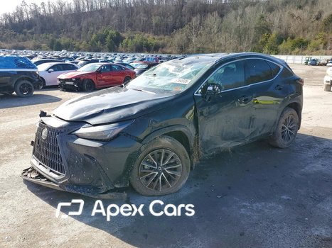 Lexus NX 2025 - Image 1 of 14