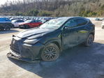 Lexus NX 2025