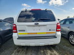 Ford Escape 2008
