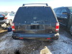 Pathfinder 2002