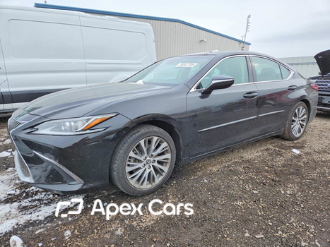 Lexus ES 2020 - Image 1 of 12