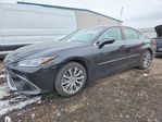 Lexus ES 2020