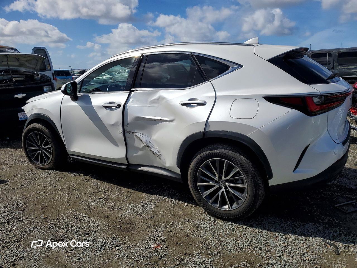 Lexus NX 2024