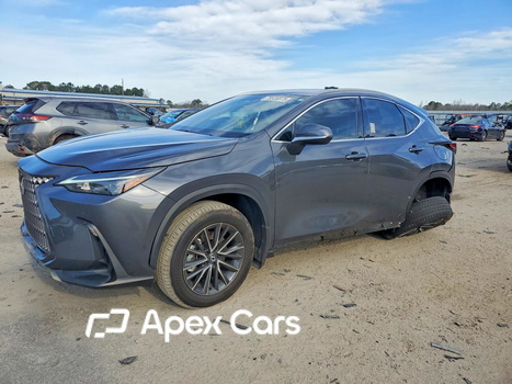 Lexus NX 2024 - Image 1 of 14