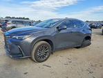Lexus NX 2024