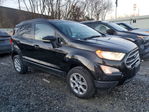 Ford EcoSport 2020