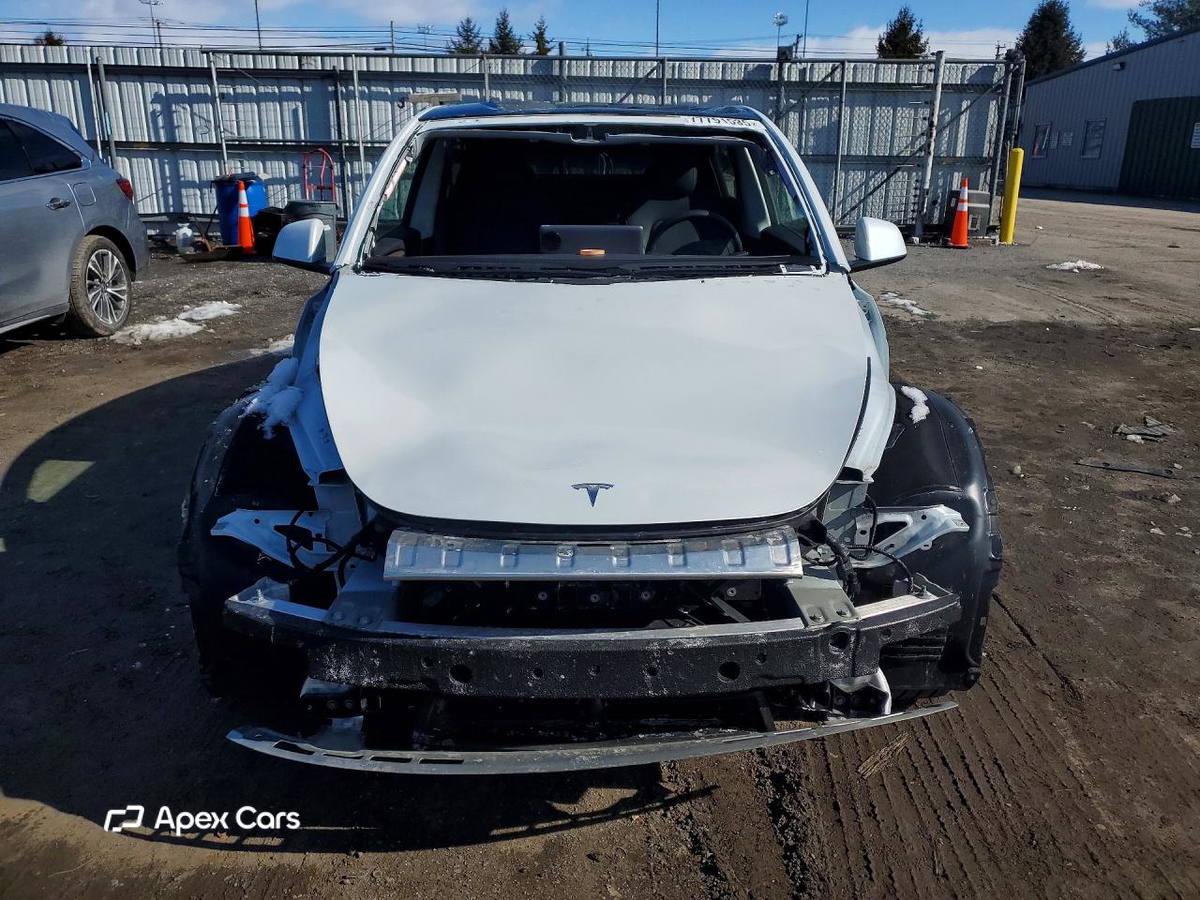 Tesla Model Y 2025