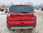 Ford Escape 2018