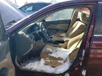 Honda Accord 2010