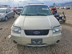 Ford Escape 2005