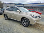 Lexus RX 2015