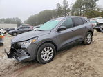 Ford Escape 2024