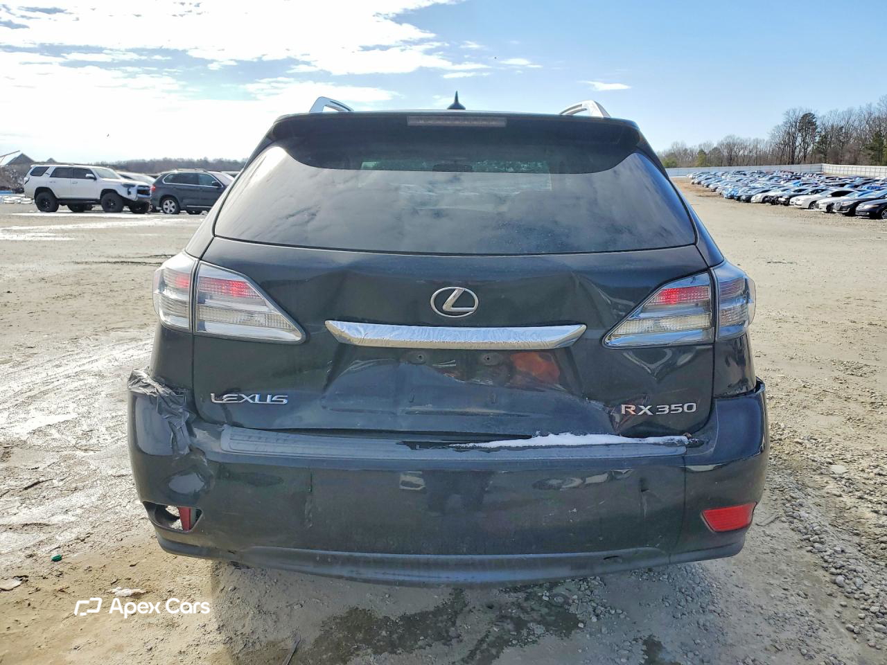 Lexus RX 2010