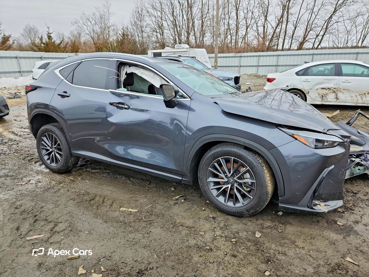 Lexus NX 2025