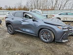 Lexus NX 2025