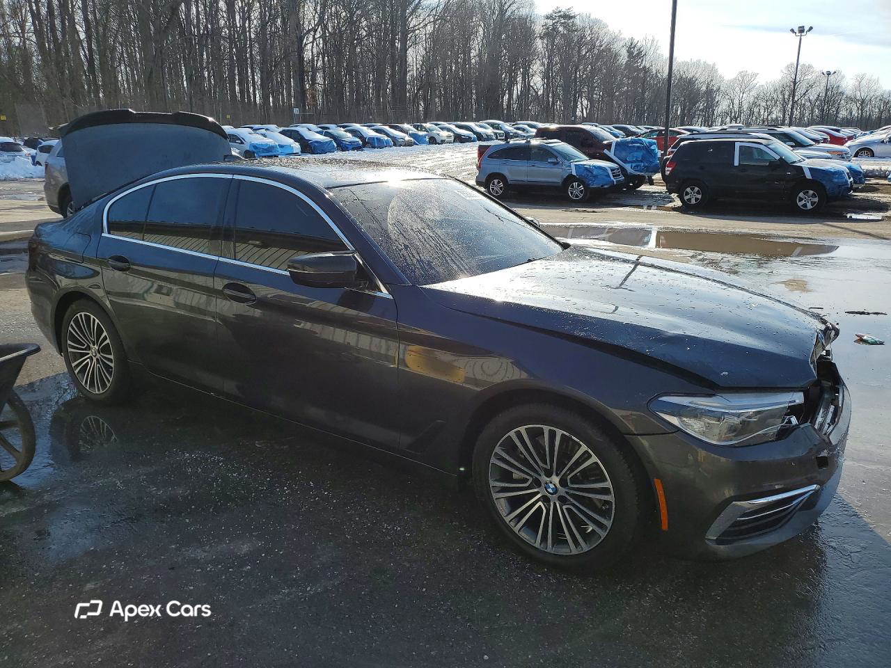 BMW Series 5 2017