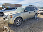 Ford Escape 2010