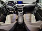 Ford Escape 2022