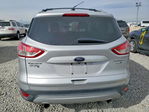 Ford Escape 2013