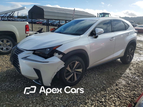 Lexus NX 2020 - Image 1 of 15
