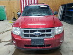 Ford Escape 2012