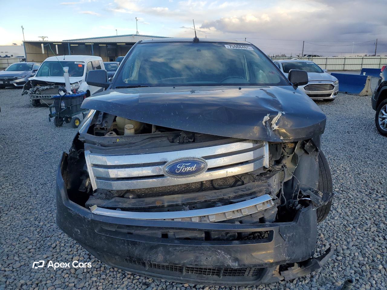 Ford Edge 2007