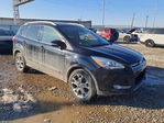 Ford Escape 2016