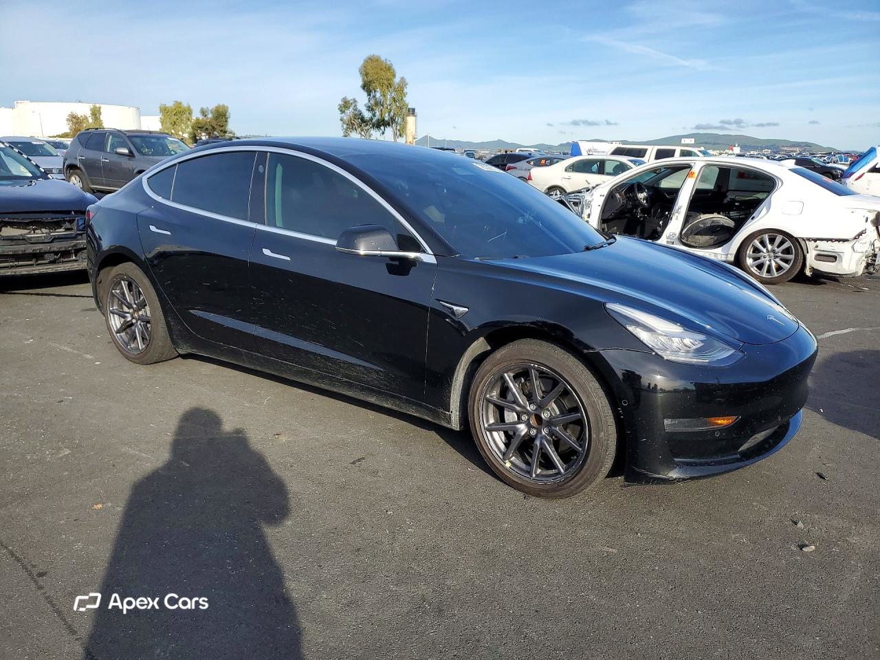 Tesla Model 3 2019