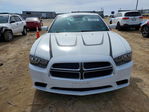 Dodge Charger 2013