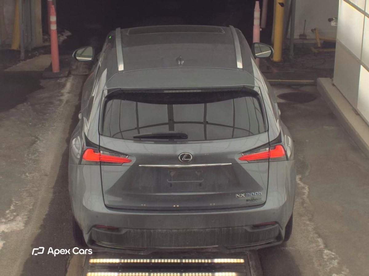 Lexus NX 2015