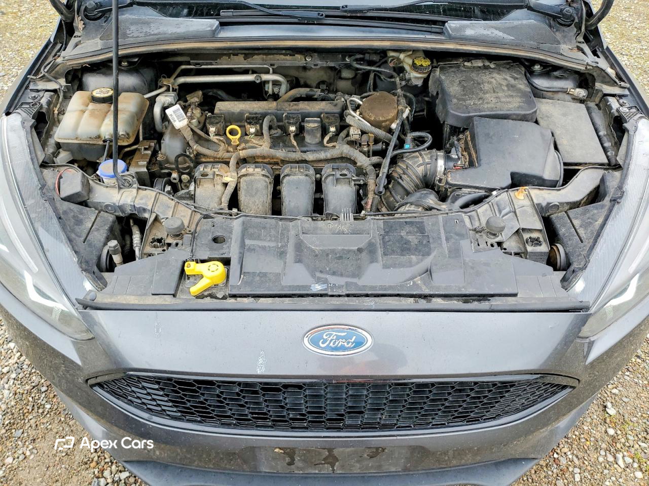Ford Focus 2016