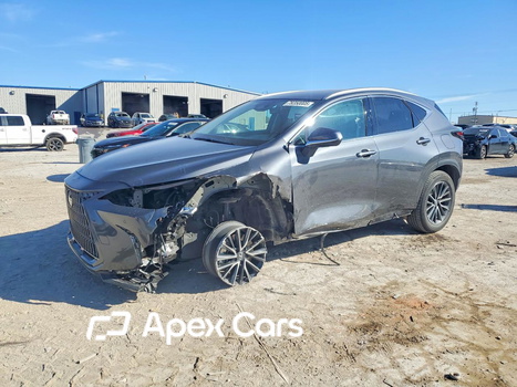 Lexus NX 2025 - Image 1 of 14